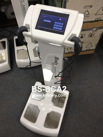 Analizador de composición del cuerpo de la pantalla táctil para las grasas de cuerpo/análisis de la nutrición con la impresora