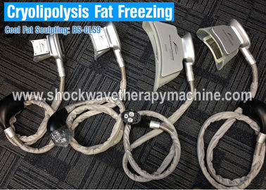 Equipo de la pérdida de peso de Cryolipolysis de 4 manijas que adelgaza la máquina para la reducción gorda rápida