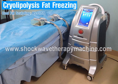 Equipo de la pérdida de peso de Cryolipolysis que adelgaza la máquina