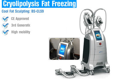 Máquinas gordas de la pérdida de Cryolipolysis de la seguridad, máquina que contornea de congelación gorda del cuerpo