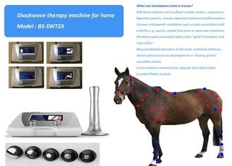 Terapia animal equina acústica del punto del disparador del sistema 1-22Hz de la terapia de la onda de choque del tratamiento del dolor