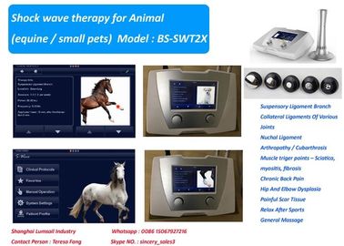 Máquina veterinaria de la terapia de choque de la alta energía de 190 MJ para el caballo y los pequeños animales domésticos