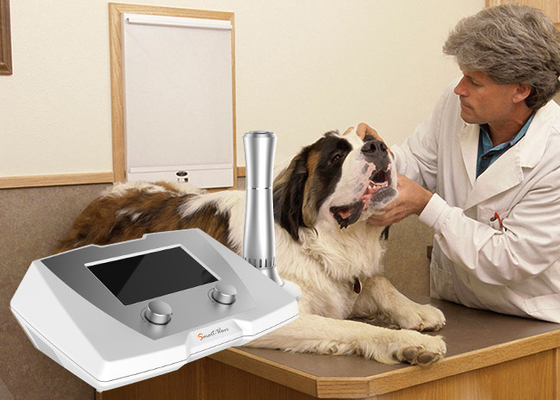 El uso veterinario retrasó la máquina equina/canina curativa el tratar de las fracturas de la onda de choque de la terapia