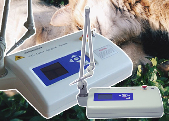 Instrumento médico del laser del tratamiento fraccionario quirúrgico veterinario de la piel
