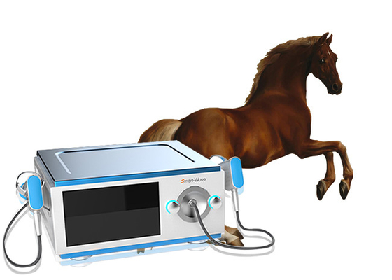Equipo equino de la terapia de la onda expansiva del caballo de poco ruido para el dolor BS-SWT5000