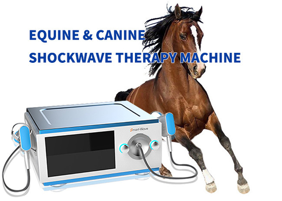 Equipo equino de la terapia de la onda expansiva del caballo de poco ruido para el dolor BS-SWT5000
