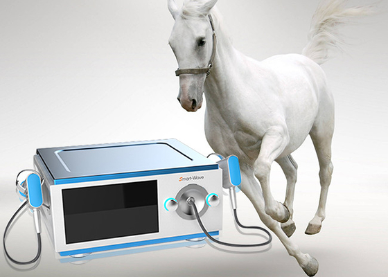 El dolor reduce la máquina de poco ruido de la onda de choque del caballo para el aparato médico de los caballos