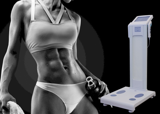 2 frecuencias del cuerpo de composición del analizador de cuerpo del escáner de las grasas con el peso 15Kg