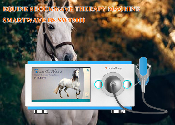 Equipo equino de la onda expansiva de la fisioterapia de la onda de choque de la máquina radial profesional de la terapia