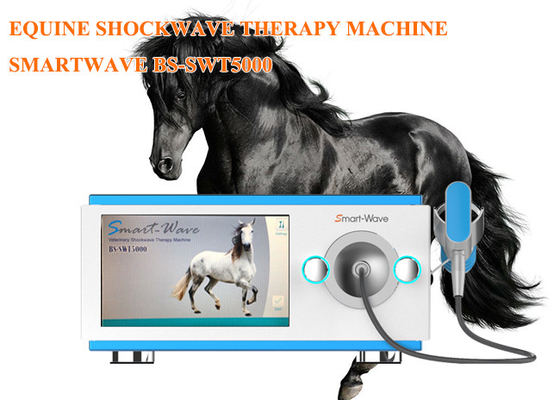 Equipo equino de la onda expansiva de la fisioterapia de la onda de choque de la máquina radial profesional de la terapia
