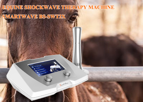 Máquina de la terapia de la onda de choque del caballo de la clínica frecuencia de 1 - 22 herzios para la enfermedad suspensoria del ligamento