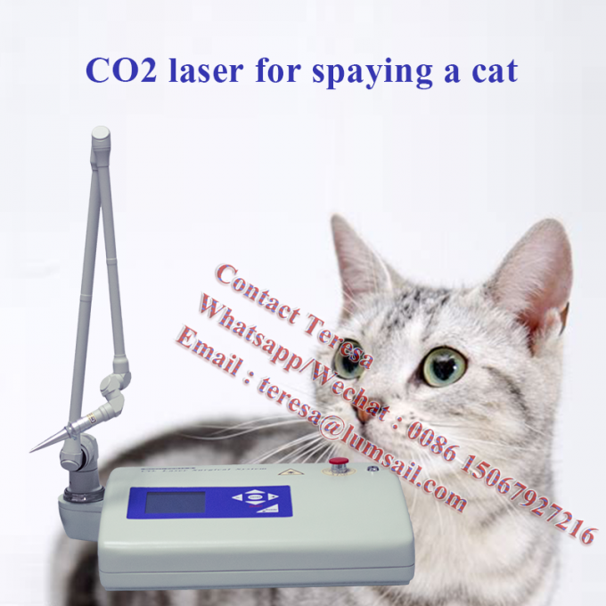 Laser veterinario quirúrgico portátil del CO2 de la tecnología 15W