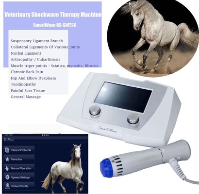 Dispositivo equino de la terapia de la máquina de la onda de choque de la onda de pulso radial veterinaria ESWT para el caballo