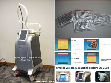 El adelgazar/que forma del cuerpo la máquina de congelación gorda de Cryolipolysis con control de la temperatura inteligente