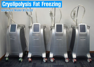 Cuerpo de CoolSculpting Cryolipolysis que adelgaza la máquina/el equipo gordo de la reducción sin dolor
