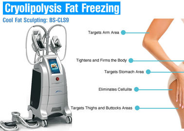 Cuerpo de congelación gordo de Cryolipolysis de 4 manijas que adelgaza la máquina para la reducción de la pérdida/de las celulitis de peso