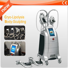 Máquinas gordas de la pérdida de Cryolipolysis de la seguridad, máquina que contornea de congelación gorda del cuerpo