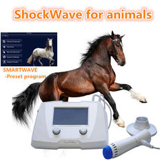 Equipo equino veterinario de la máquina de la onda de choque para el color del blanco de los perros/de los caballos
