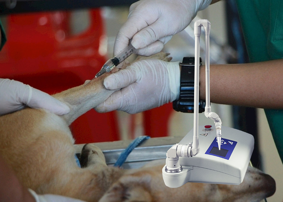 Máquina fraccionaria del laser del CO2 veterinario del instrumento médico para los perros/hospital veterinario