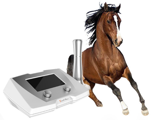 Máquina veterinaria de la terapia de la onda expansiva de la alta energía para el caballo de carreras