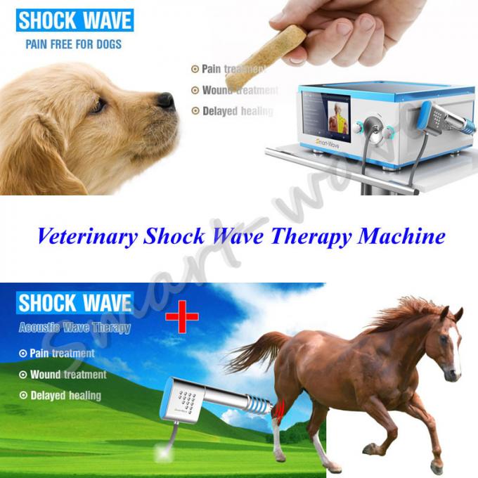Pequeña terapia veterinaria animal de la onda expansiva de la terapia física de la onda de choque de la onda de choque radial para el tratamiento del caballo
