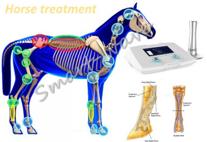 Máquina veterinaria de la terapia de la onda expansiva de la máquina de la terapia de la onda expansiva de la alta energía para el caballo de carreras